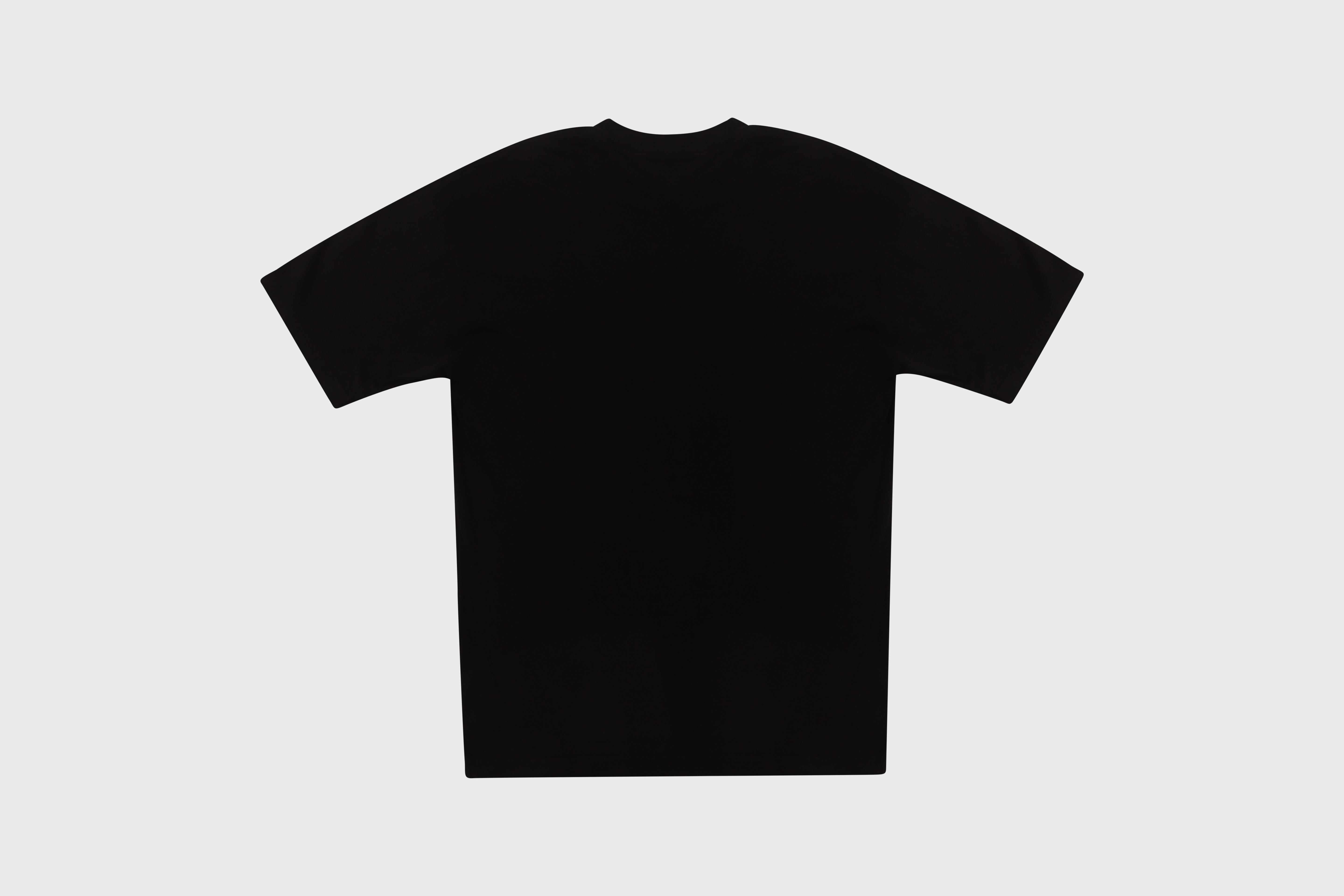 Concert Tee CONVERGENCE